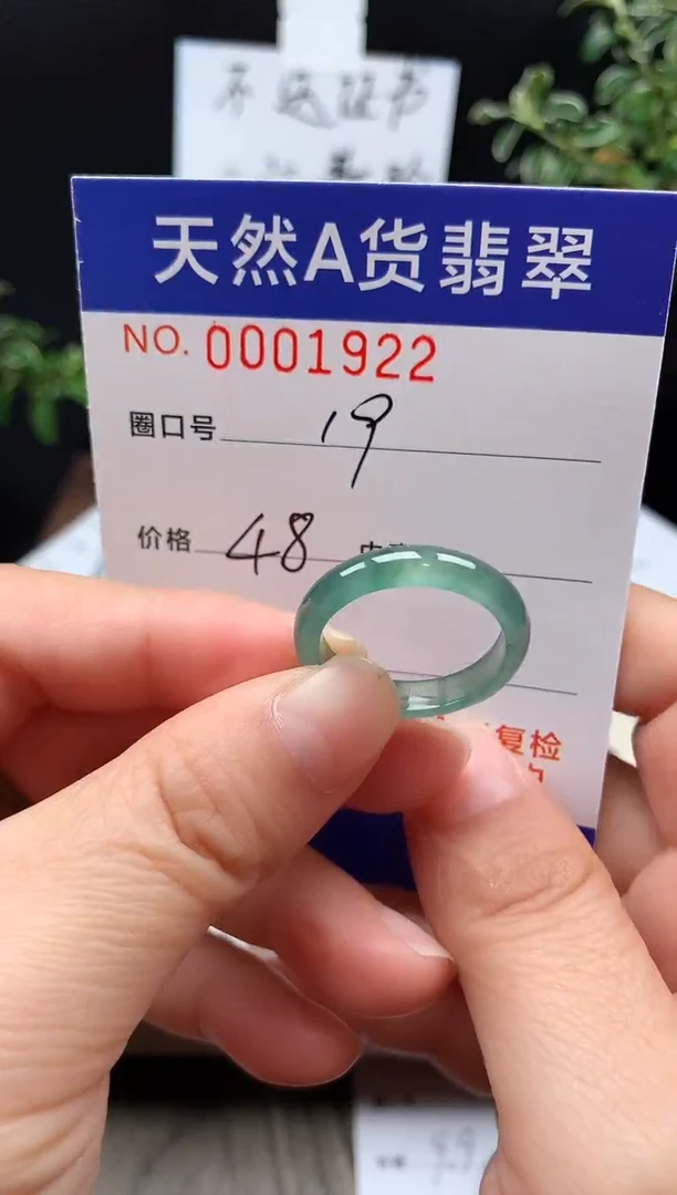 未镶嵌戒指翡翠19#