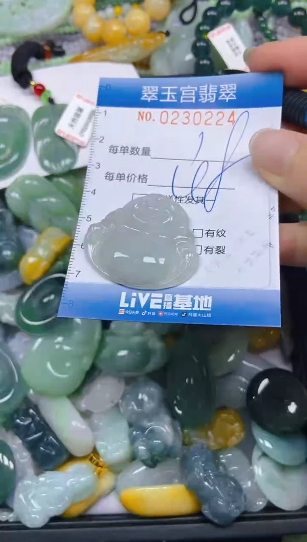 颈饰未镶嵌翡翠闪购C0230224