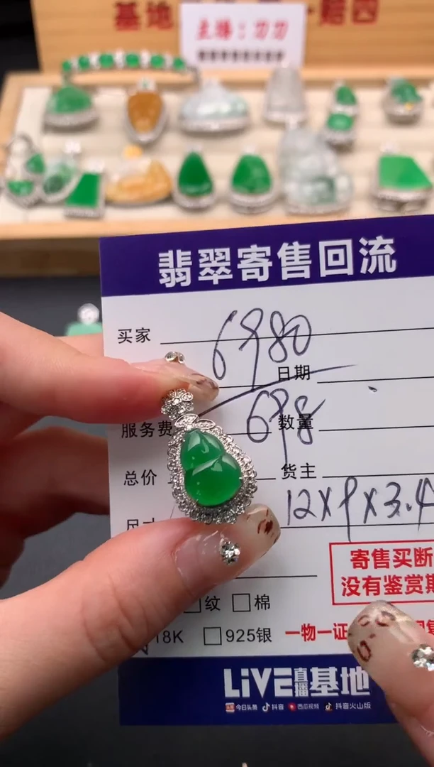 翡翠18K金镶嵌颈饰10132059