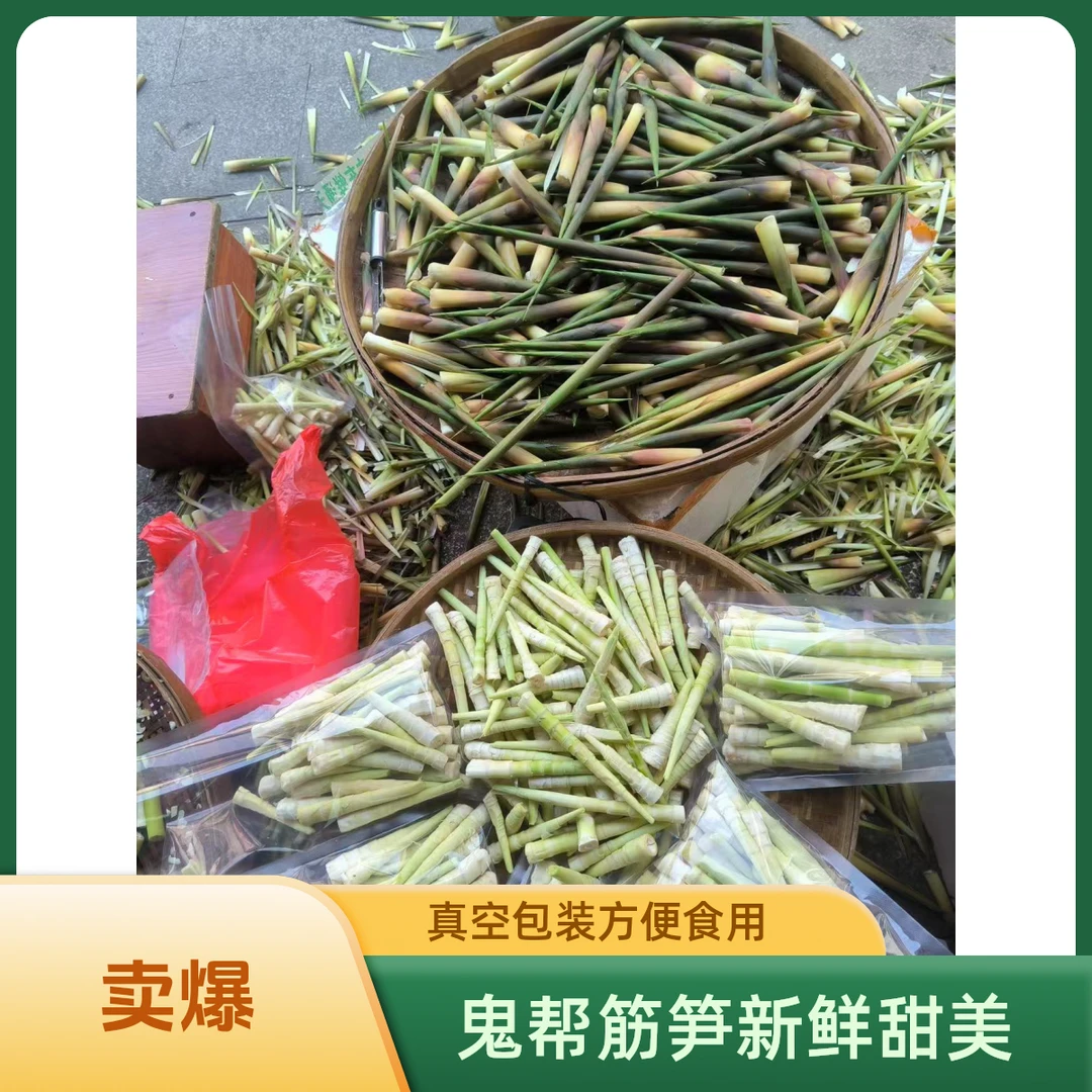 鬼帮筋大埔新鲜小甜笋笋梅州客家真空包装一斤装甜笋好吃新鲜竹笋
