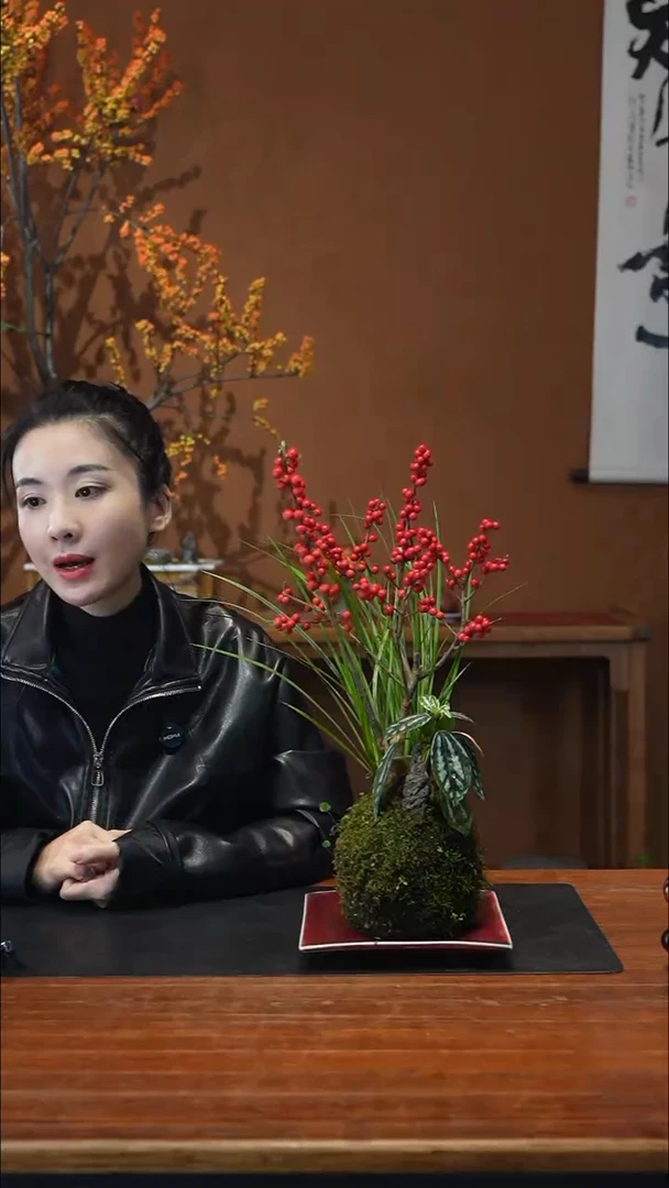 全部花朵冬青盆景盆景盆景