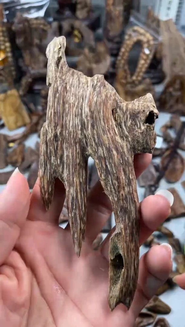 沉香碎屑沉香  越南芽庄    越南芽庄