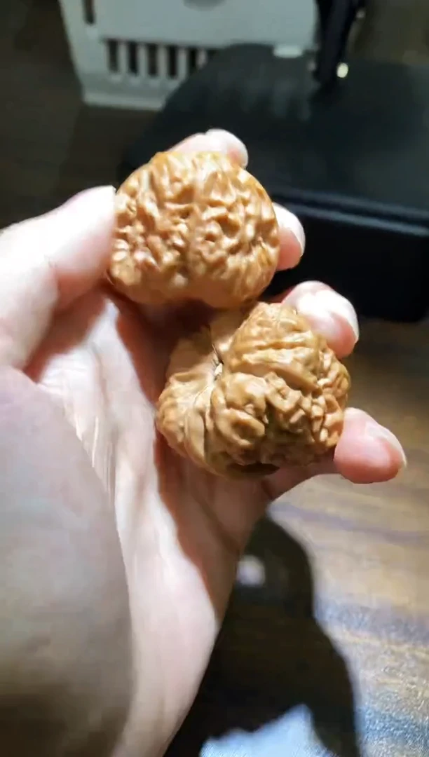 桃核把件微修打底蛤蟆头40-41