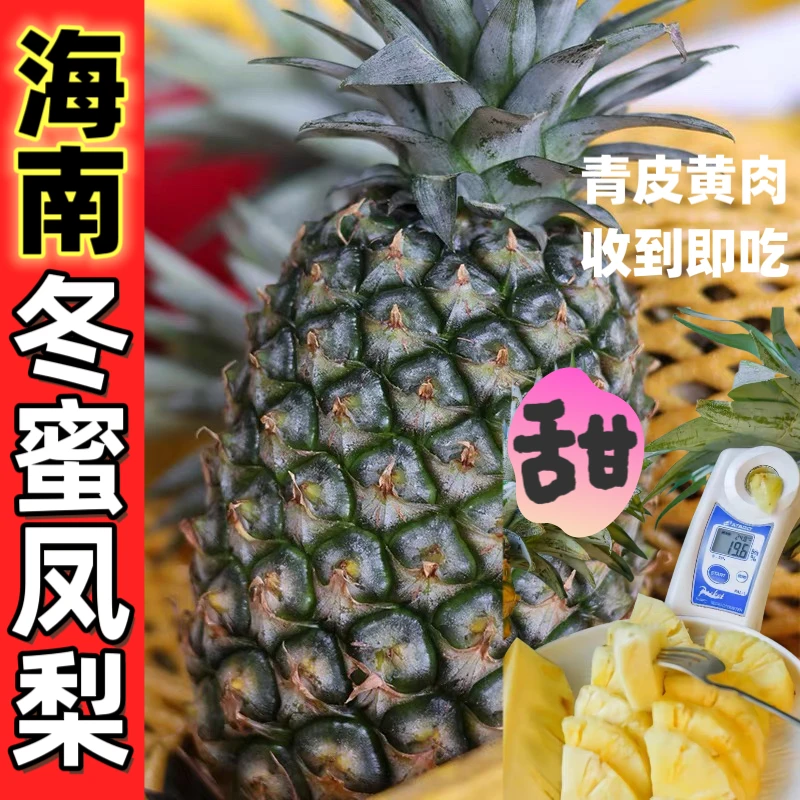 【冬蜜凤梨】台农13号海南冬蜜凤梨香甜多汁树熟青皮凤梨收到即食