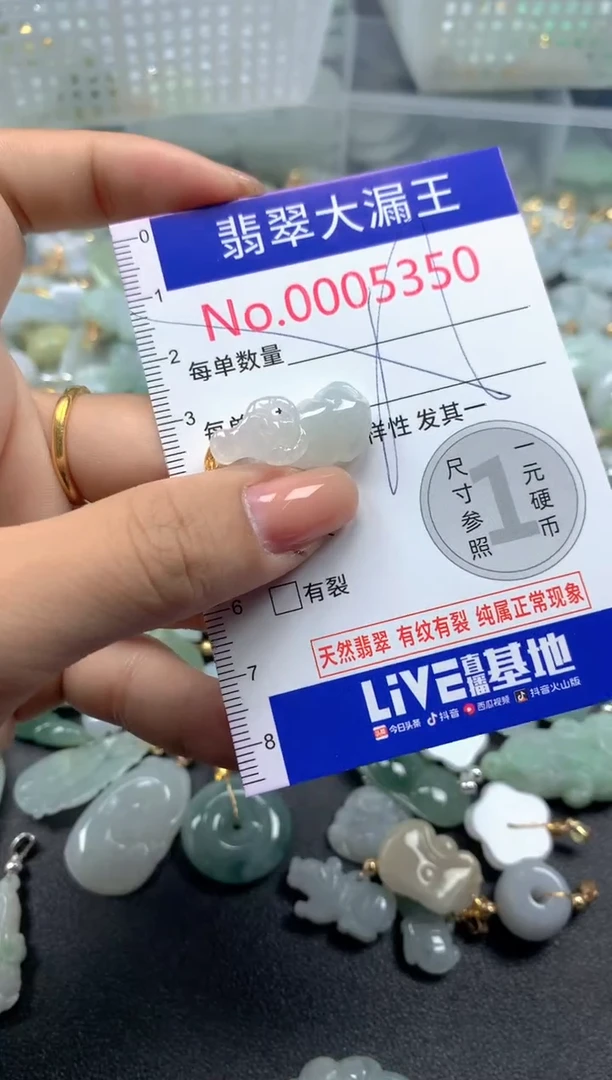 颈饰未镶嵌翡翠5350