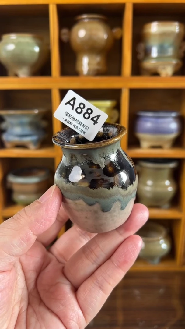 884 内口4【多肉花盆多肉盆】