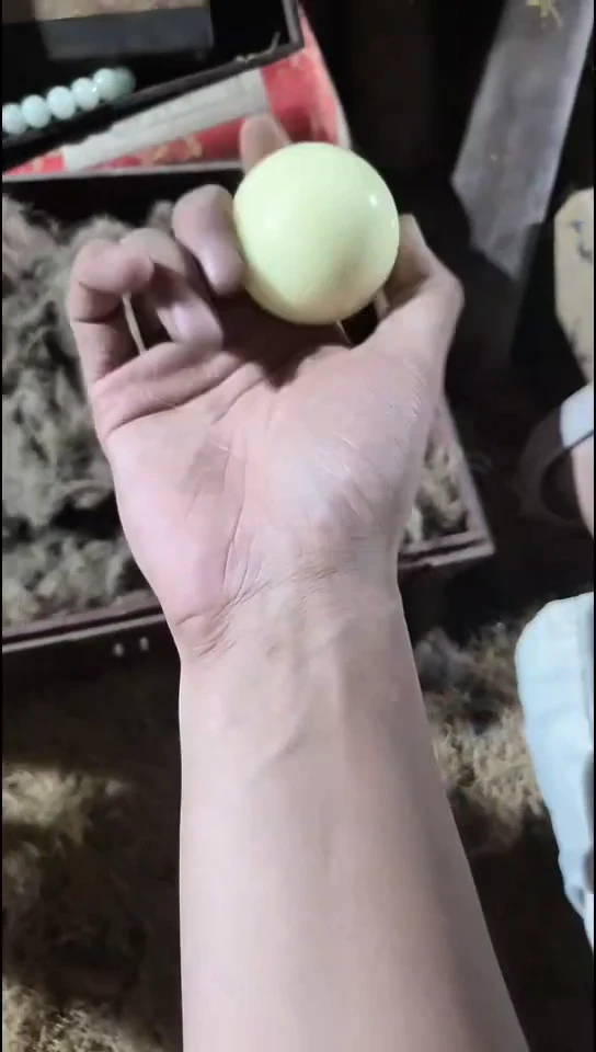 香榧木（1个小黄球）