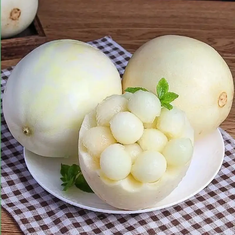 阎良小籽甜瓜香瓜香甜脆爽多汁应季新鲜水果