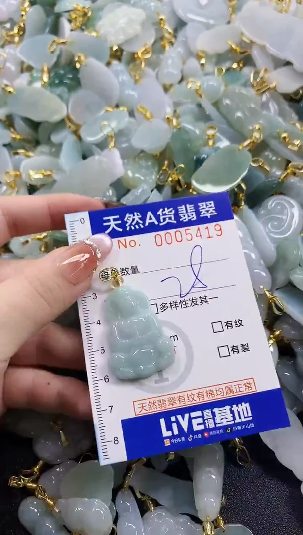 颈饰未镶嵌翡翠天然A货翡翠