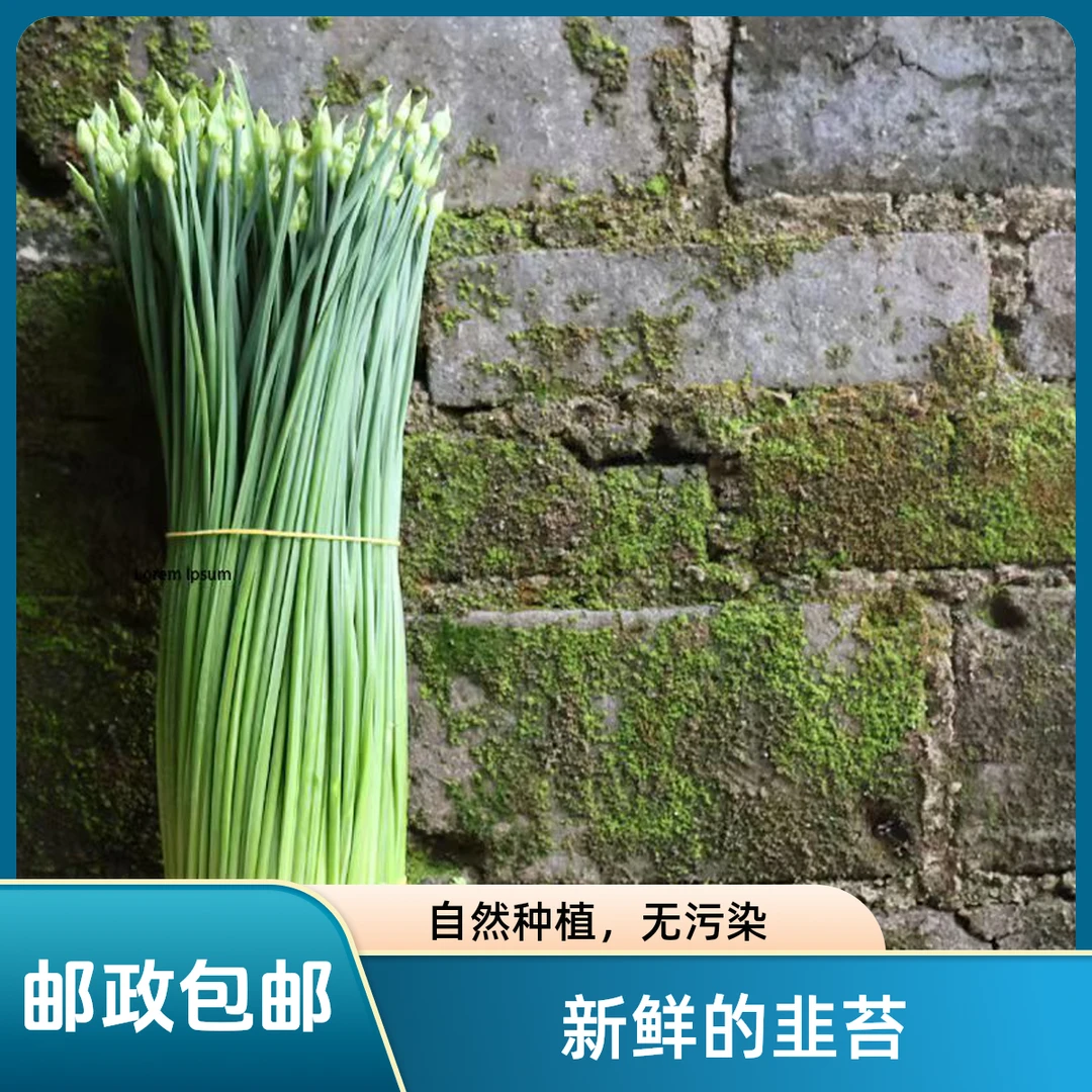 广西韭苔新鲜农家韭菜花新鲜当季蔬菜种植新鲜采摘现摘现发