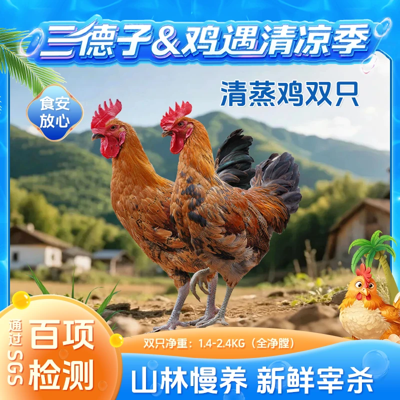 三德子【清蒸鸡】生态新鲜低脂高蛋白散养营养美味轻食跑山鸡走地鸡