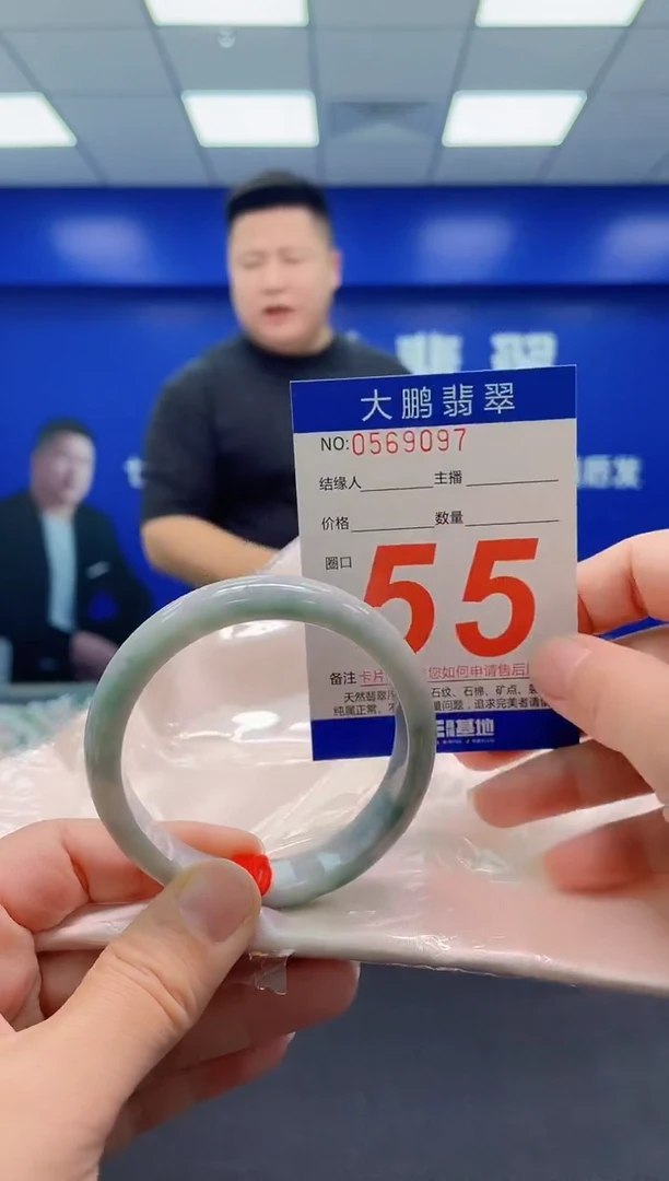 未镶嵌手镯翡翠AAAAAAAAA