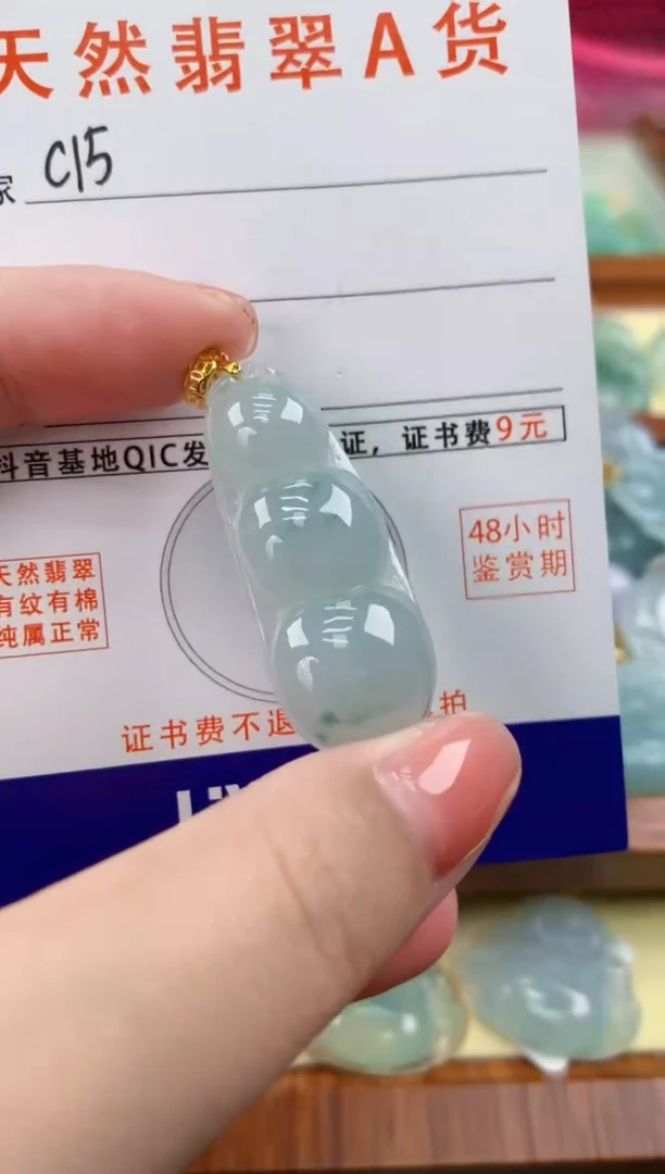 颈饰未镶嵌翡翠天然A货翡翠挂件