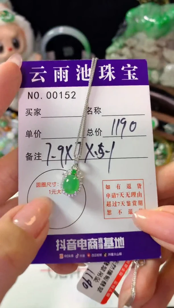 颈饰银S925镶嵌翡翠翡翠