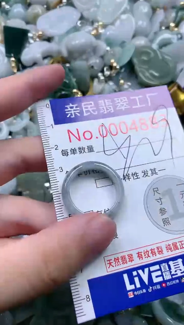 翡翠未镶嵌吊坠(不含链)4883