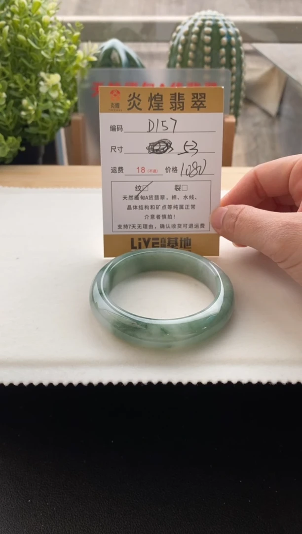 未镶嵌手镯翡翠52.9圈口 编码D157