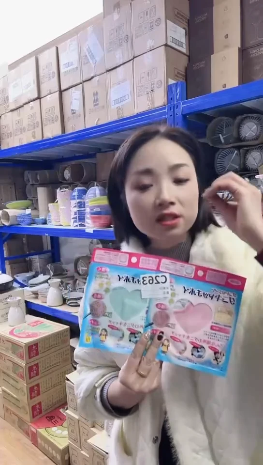 【闪购商品】瓷片进口家用百货除螨贴两包C263