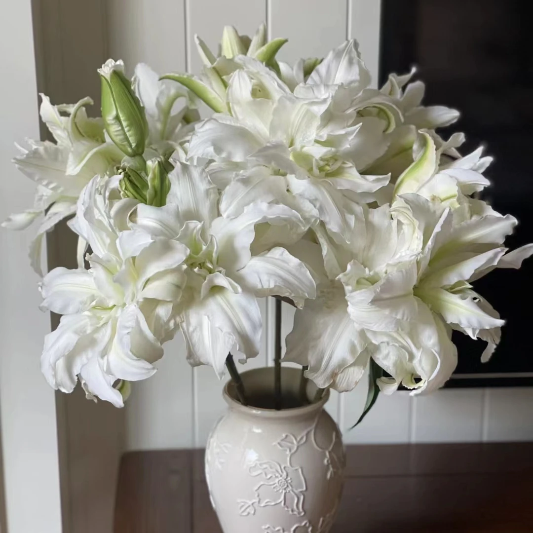 【新品推荐】【艾莎重瓣百合】云南鲜花 任意两件升级顺丰送货