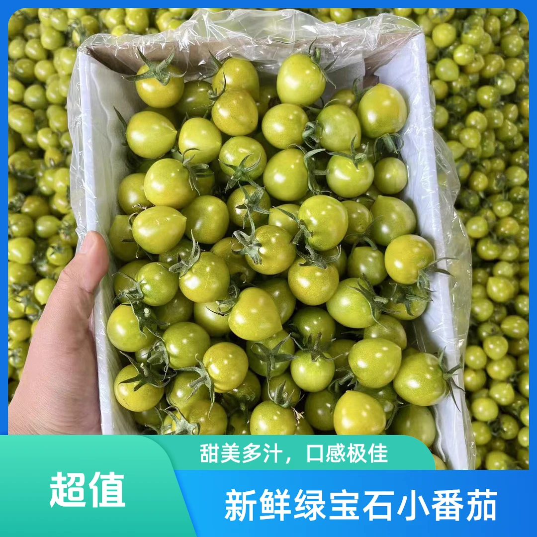 【翡翠青霞蜜甜番茄】锦小院青小番茄新鲜绿色圣女果小西红柿现摘水果顺丰包邮G番茄同城送上海市