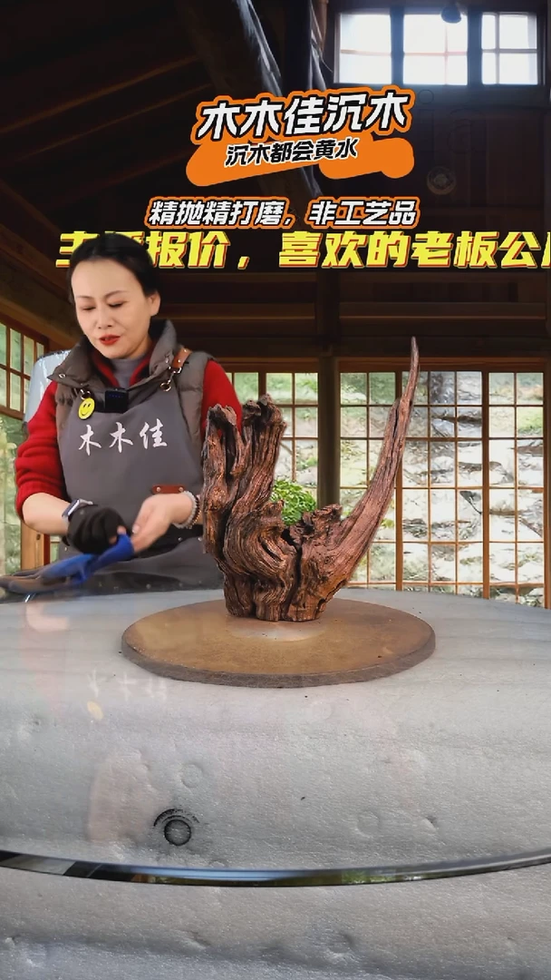 W****～木木佳沉木鱼缸造景