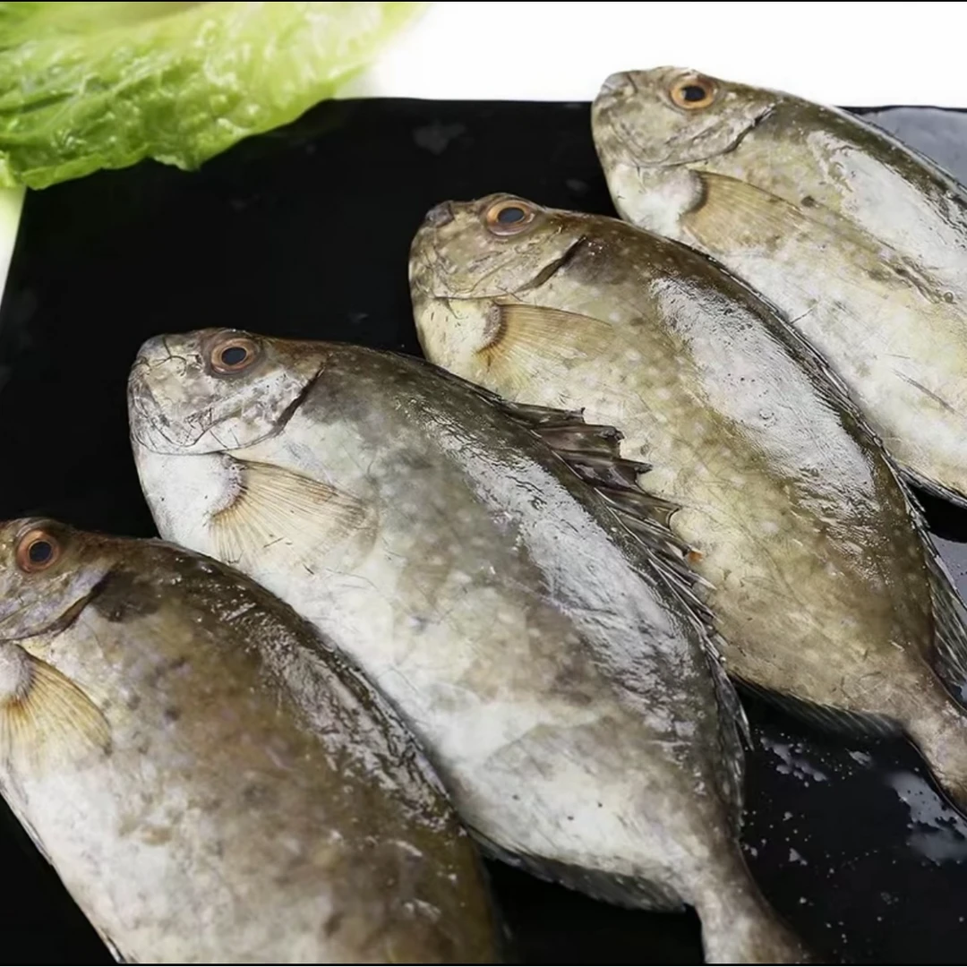 速冻 本港野生泥猛鱼100g-150g/条 三去处理