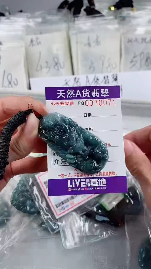 【闪购商品】翡翠颈饰未镶嵌