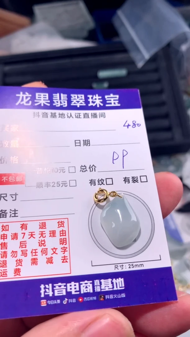 翡翠未镶嵌颈饰随形480