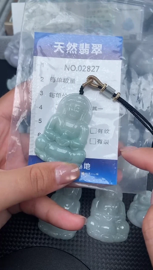 颈饰未镶嵌翡翠纯天然A货翡翠2827