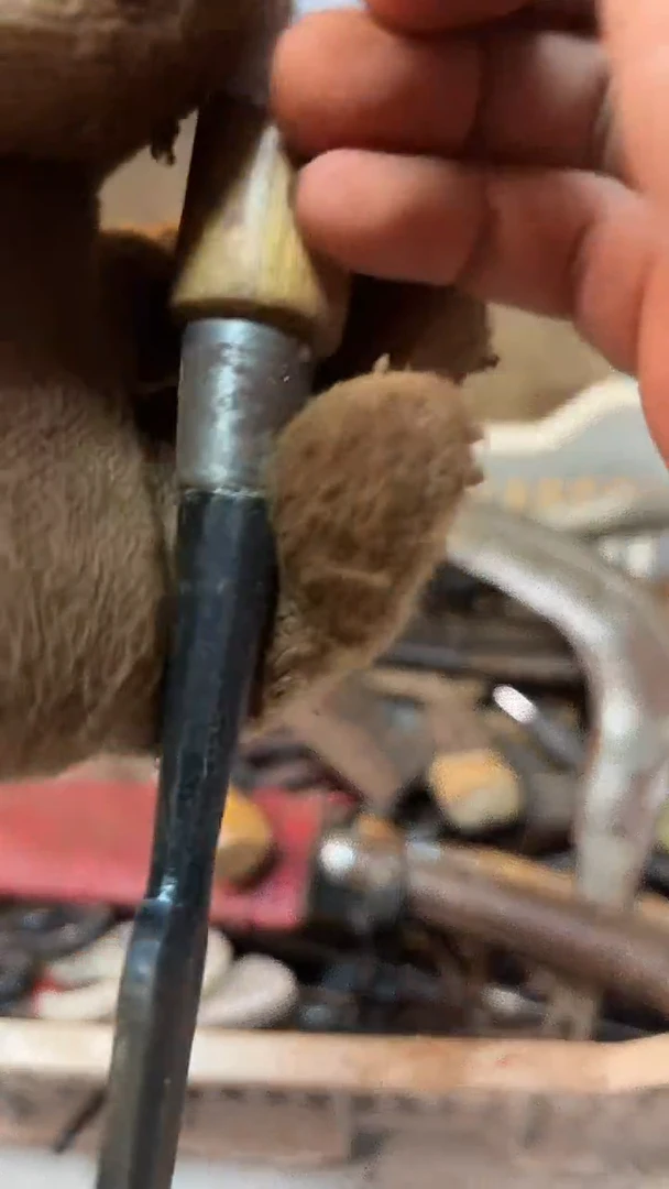 月*湾红红火火恍恍惚惚