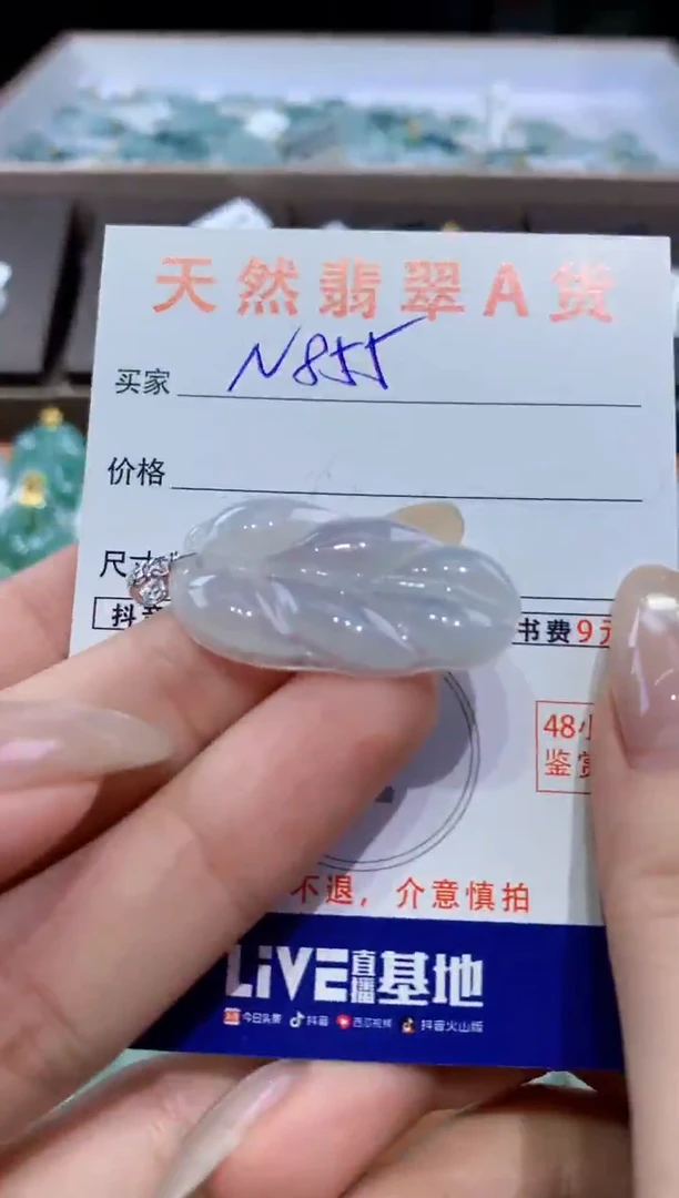 颈饰未镶嵌翡翠天然翡翠A货挂件