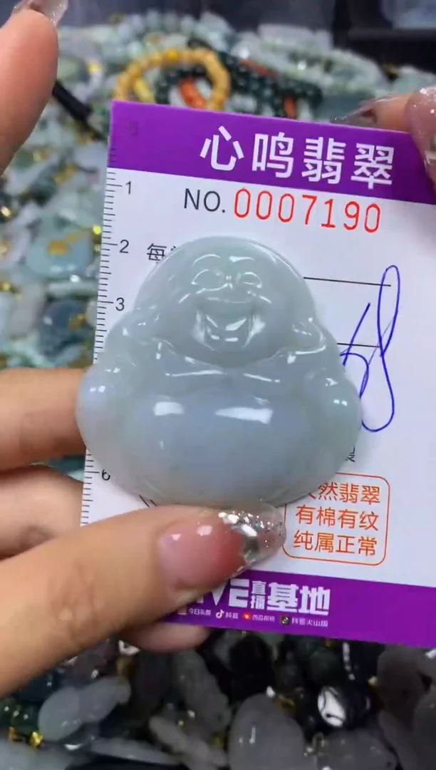 【闪购商品】翡翠颈饰未镶嵌闪购007190