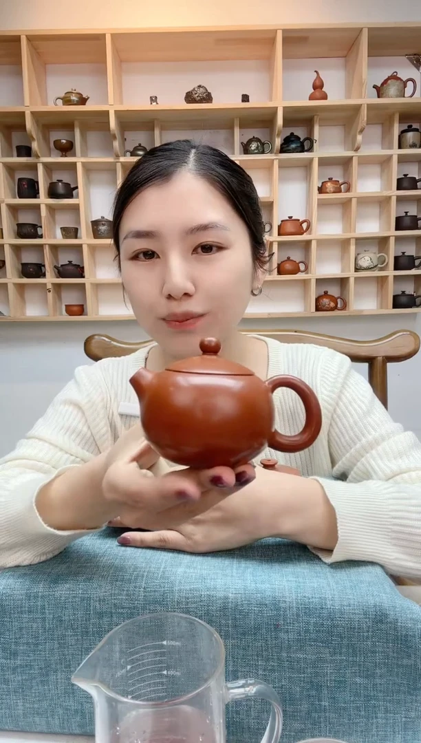 【闪购商品】星月玩壶建水紫陶