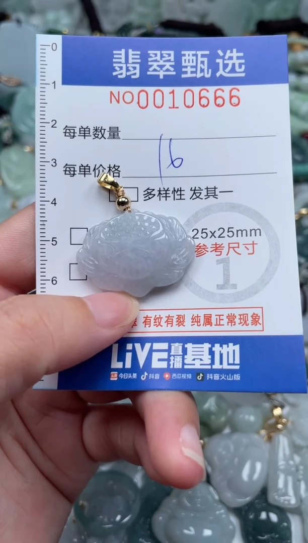 颈饰未镶嵌翡翠10666
