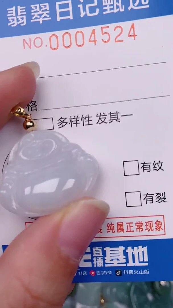 【闪购商品】翡翠颈饰未镶嵌00004524