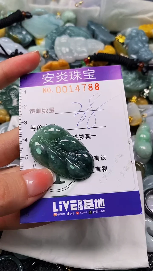 颈饰未镶嵌翡翠闪购0014788