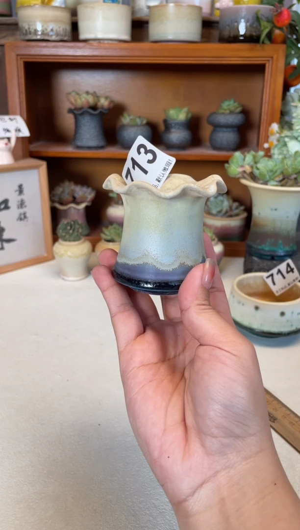 瓷片福利713知木小芳花盆