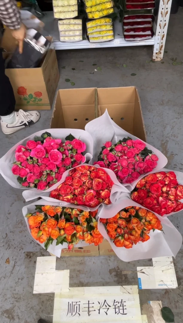 橙色芭比10枝+苏菲10枝+爱丽丝10枝