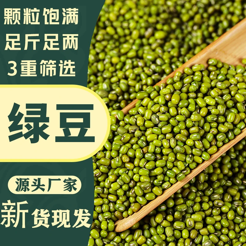 东北农家新鲜绿豆皮薄易煮可发芽适合做绿豆汤绿豆糕