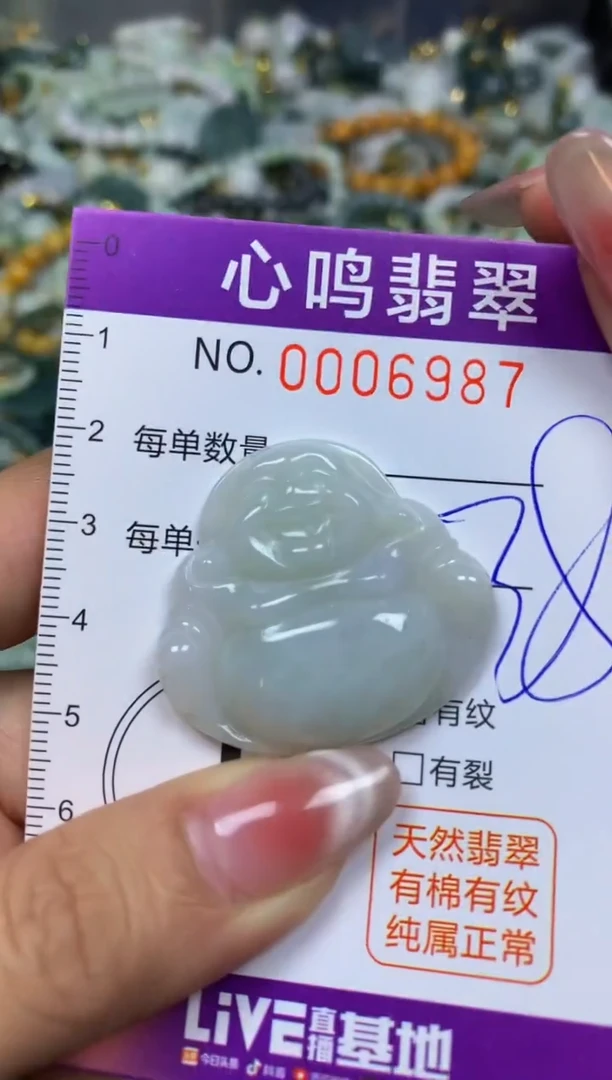 【闪购商品】翡翠颈饰未镶嵌闪购006987