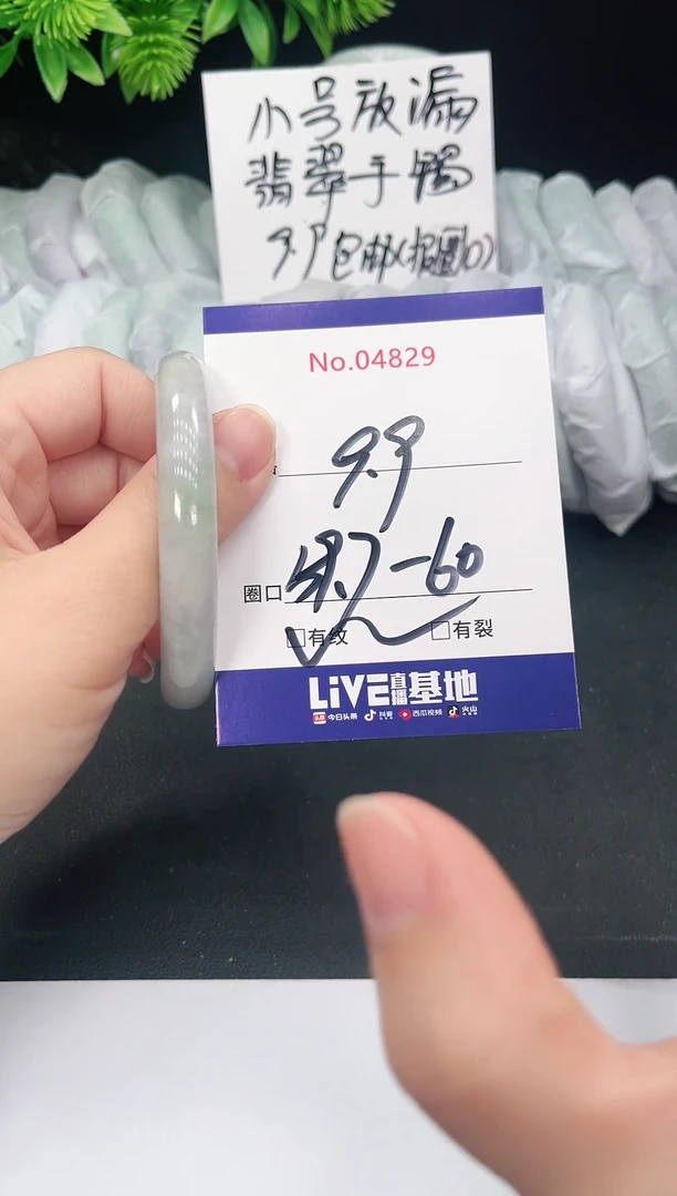 未镶嵌手镯翡翠4829