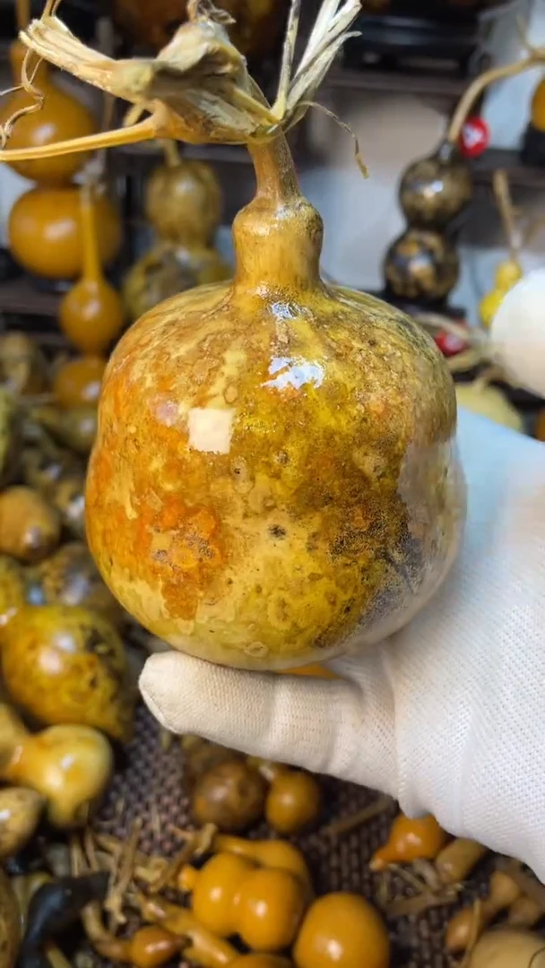 【闪购商品】葫芦葫芦葫芦葫芦