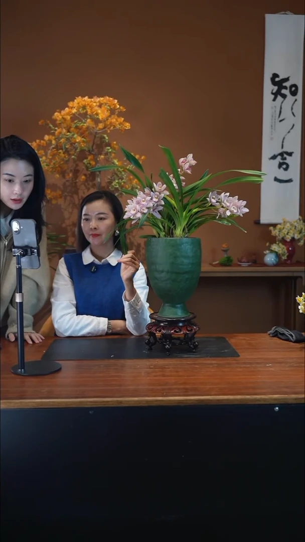 全部花朵欢**刻樱花绿盆盆景盆景盆景