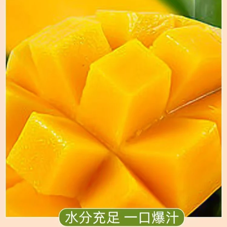 美物享·攀枝花凯特芒·精选阳光金芒果·包邮