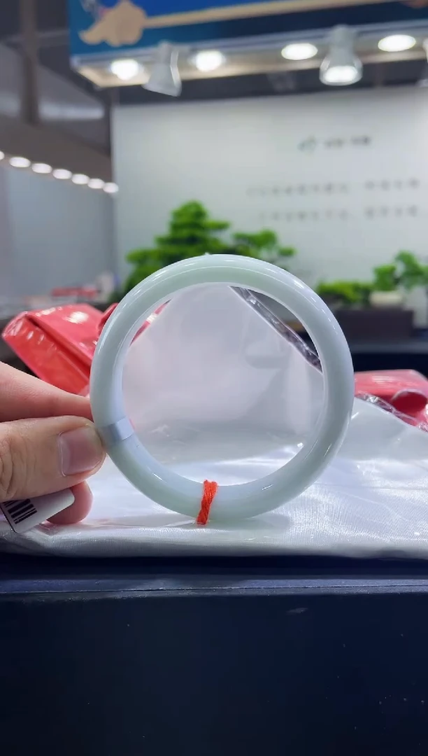 未镶嵌手镯翡翠15