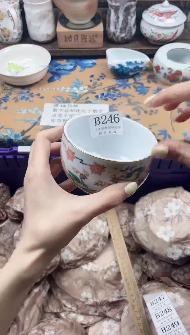 瓷片新*                B246