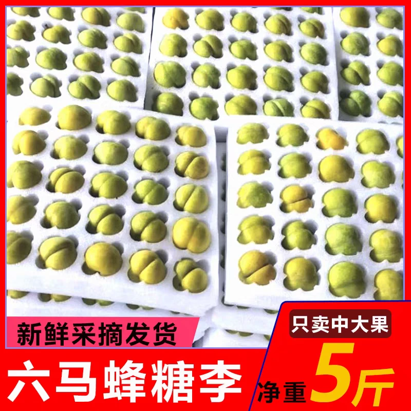正宗贵州六马镇峰糖李新鲜应季水果酸甜爽口孕妇适用50_55mm大果