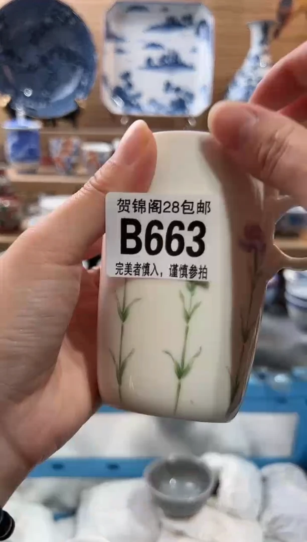 【闪购商品】瓷片当天满28米包邮B663