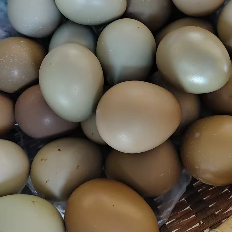 精品野生鸡蛋营养丰富 单个