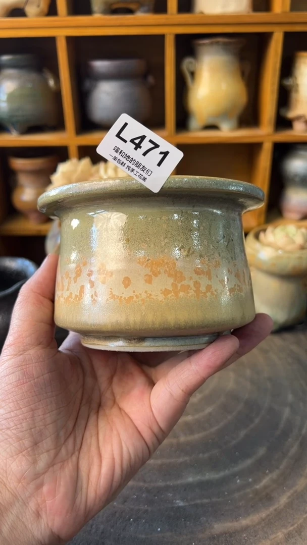 471 内口8【多肉花盆多肉盆】