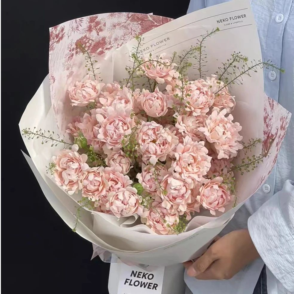 顺丰包邮【苏芬多头玫瑰花】海葵花瓣特殊有香味稀有花材粉色多头玫